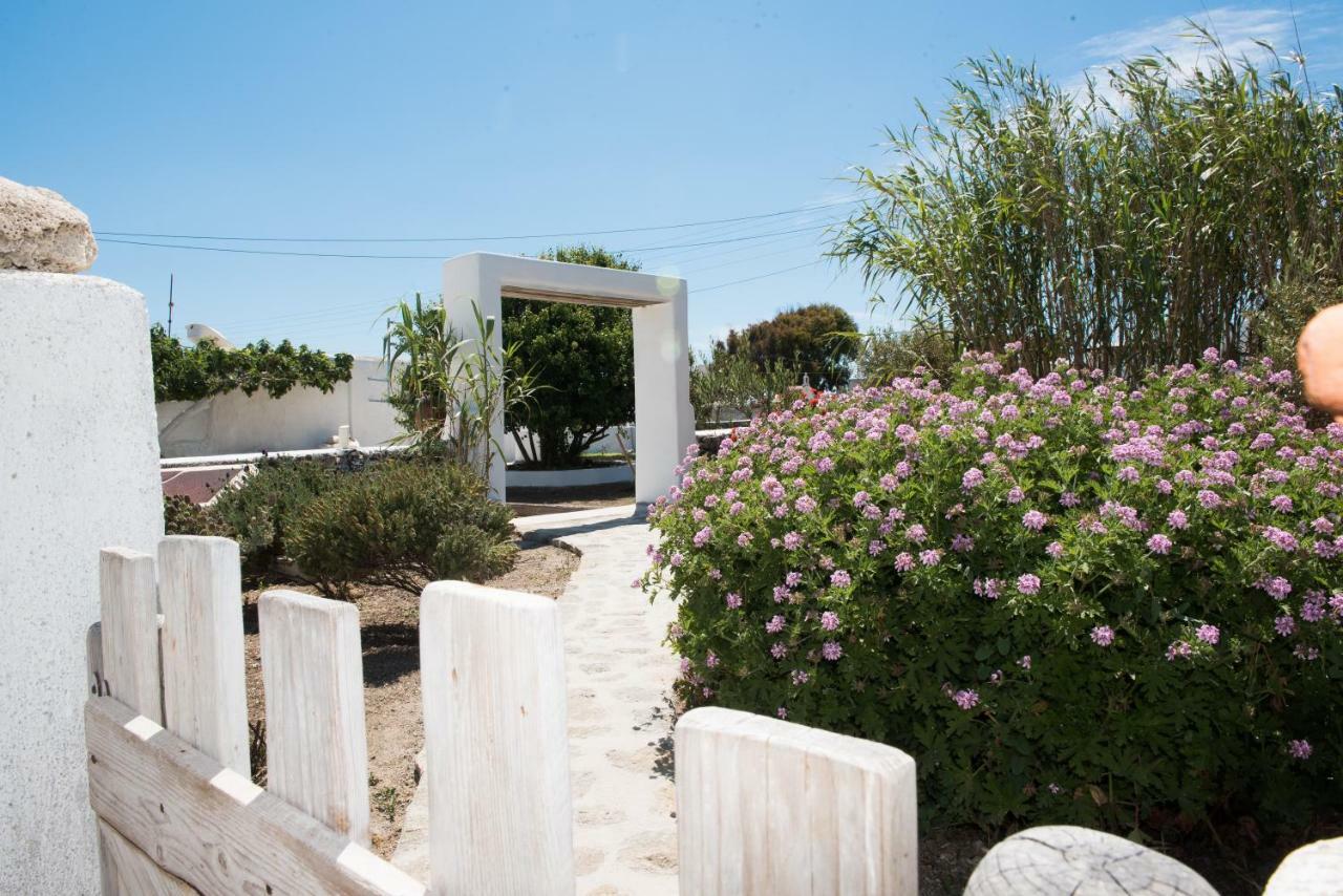 Aloni Studios Ano Mera Bagian luar foto